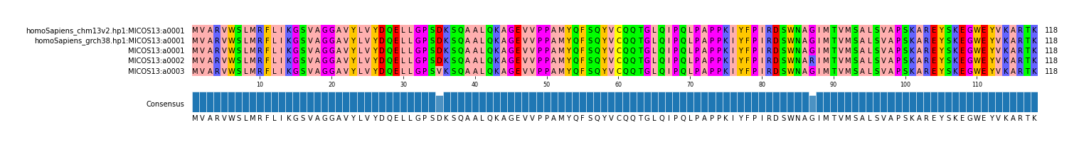 Multiple Alignments (by translate haplotype frequency)