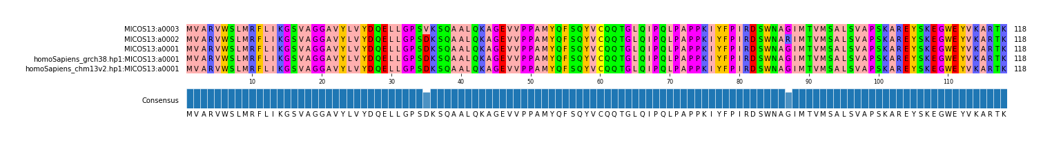 Multiple Alignments (by translate haplotype similarity)