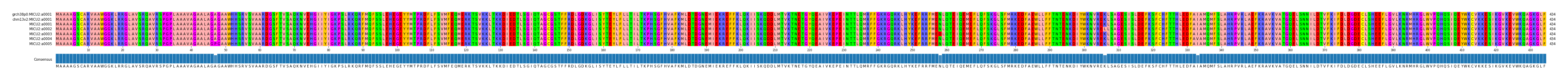 Multiple Alignments (by translate haplotype frequency)