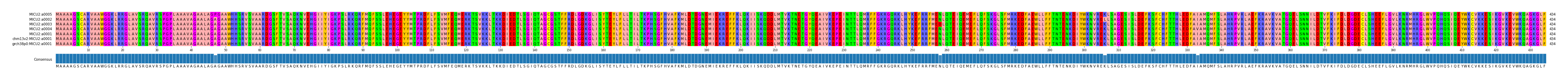 Multiple Alignments (by translate haplotype similarity)