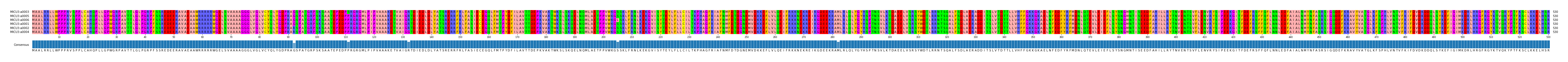Multiple Alignments (by translate haplotype similarity)