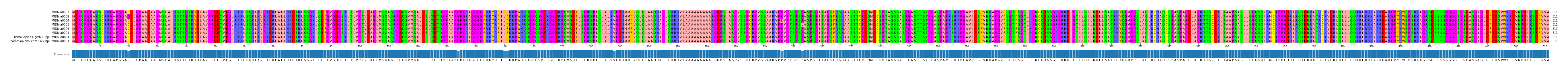 Multiple Alignments (by translate haplotype similarity)
