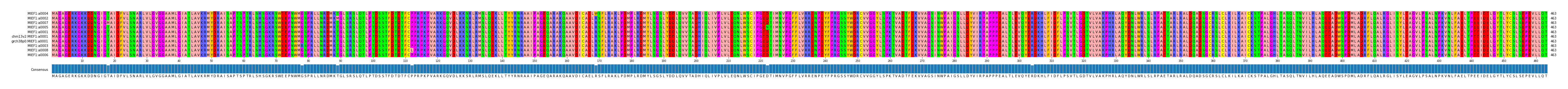Multiple Alignments (by translate haplotype similarity)