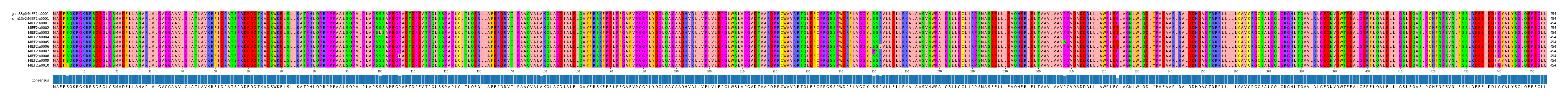 Multiple Alignments (by translate haplotype frequency)