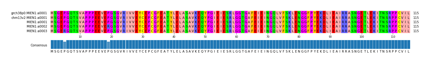 Multiple Alignments (by translate haplotype frequency)