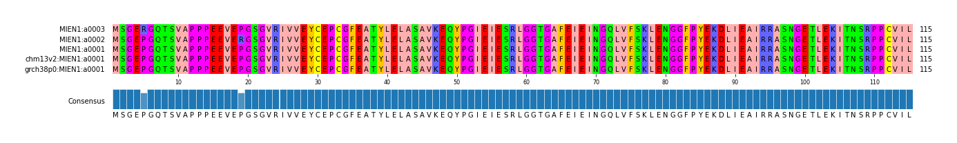 Multiple Alignments (by translate haplotype similarity)