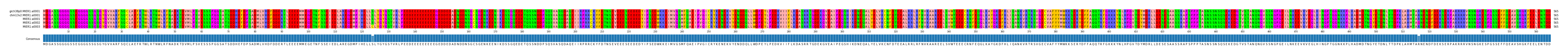 Multiple Alignments (by translate haplotype frequency)
