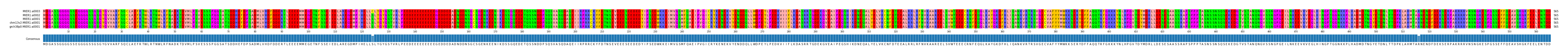Multiple Alignments (by translate haplotype similarity)