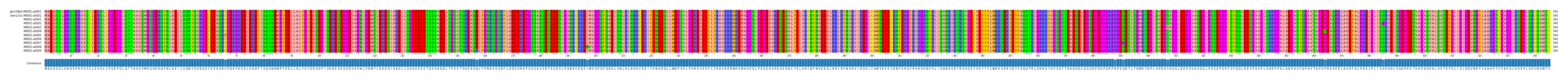 Multiple Alignments (by translate haplotype frequency)