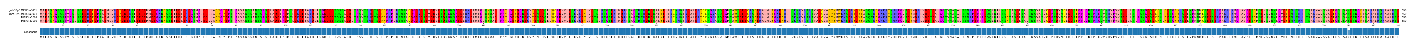 Multiple Alignments (by translate haplotype similarity)