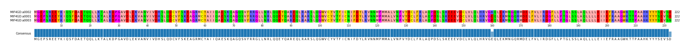 Multiple Alignments (by translate haplotype similarity)