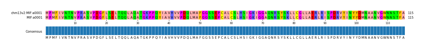 Multiple Alignments (by translate haplotype similarity)