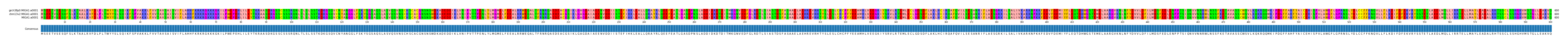 Multiple Alignments (by translate haplotype similarity)