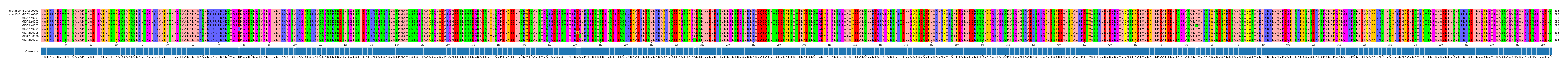 Multiple Alignments (by translate haplotype frequency)