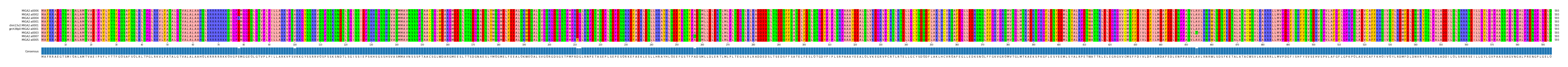 Multiple Alignments (by translate haplotype similarity)