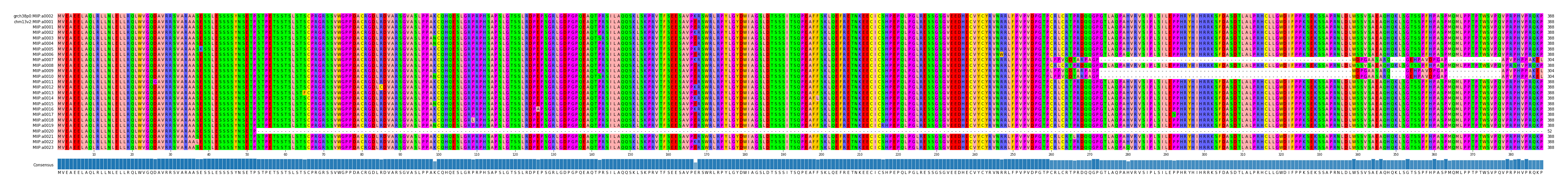 Multiple Alignments (by translate haplotype frequency)