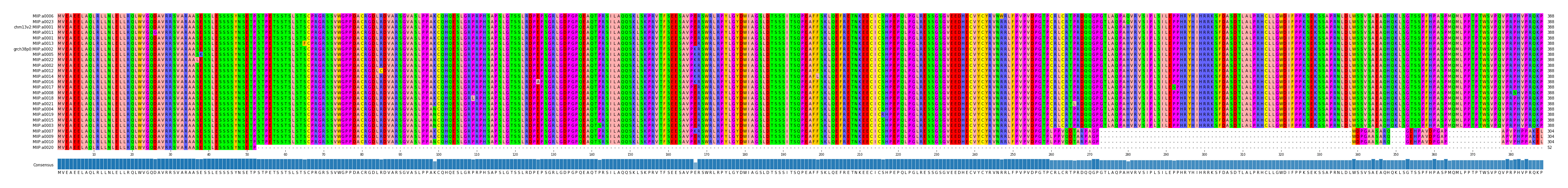 Multiple Alignments (by translate haplotype similarity)