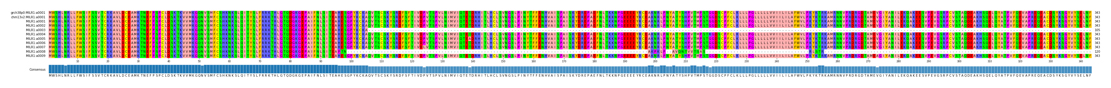 Multiple Alignments (by translate haplotype frequency)