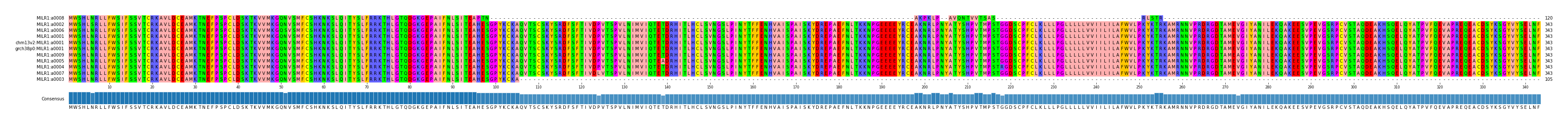 Multiple Alignments (by translate haplotype similarity)