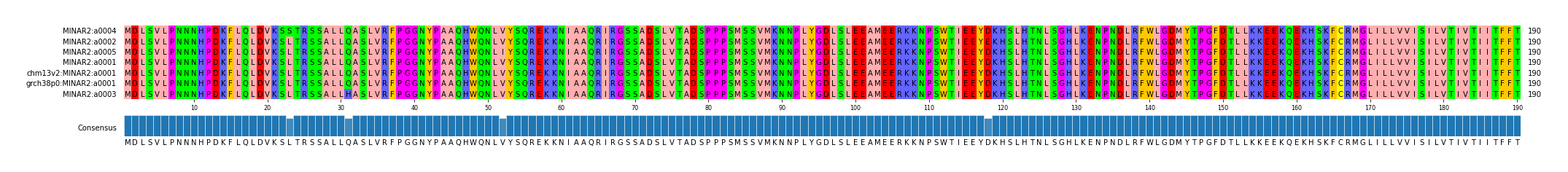 Multiple Alignments (by translate haplotype similarity)