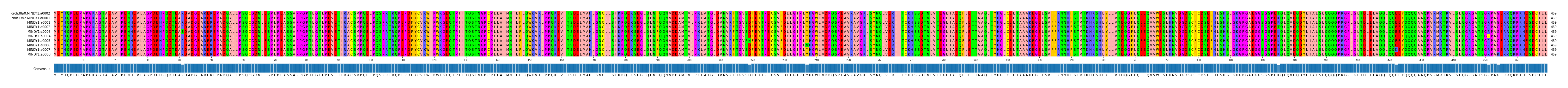 Multiple Alignments (by translate haplotype frequency)