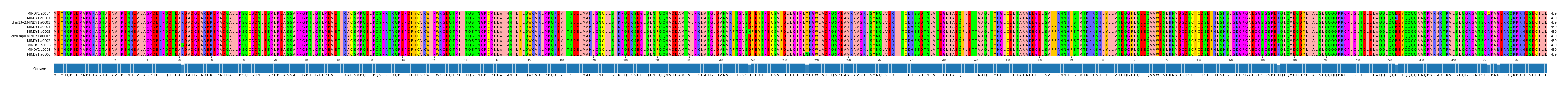 Multiple Alignments (by translate haplotype similarity)