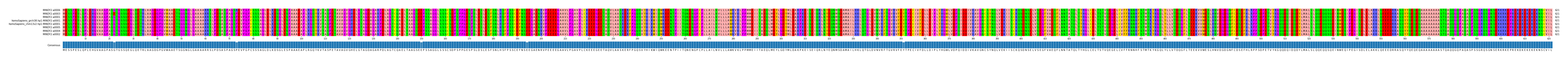Multiple Alignments (by translate haplotype similarity)