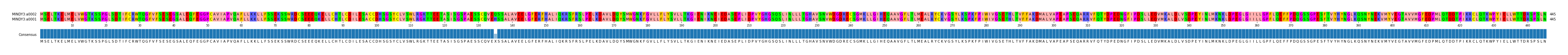 Multiple Alignments (by translate haplotype similarity)