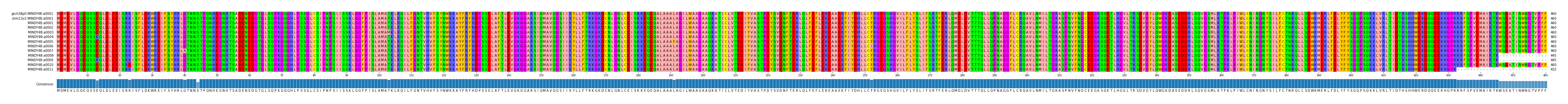 Multiple Alignments (by translate haplotype frequency)