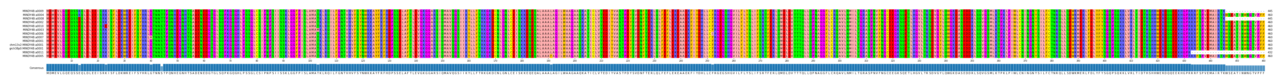 Multiple Alignments (by translate haplotype similarity)
