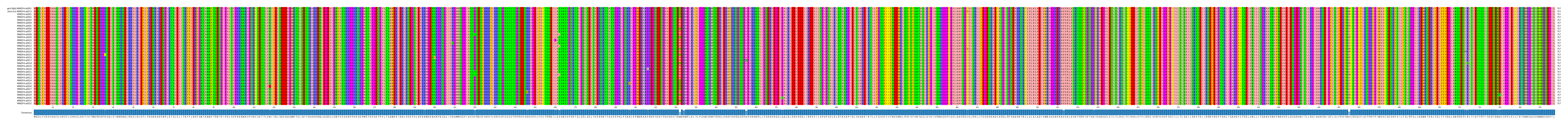 Multiple Alignments (by translate haplotype frequency)