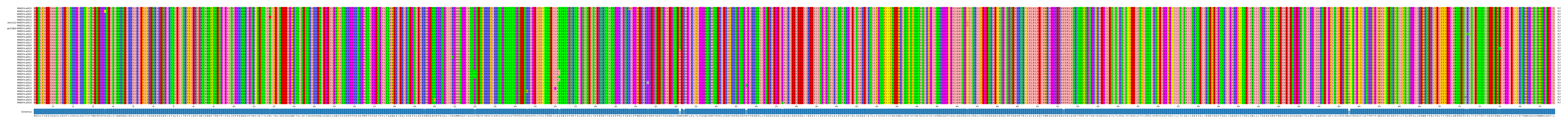 Multiple Alignments (by translate haplotype similarity)