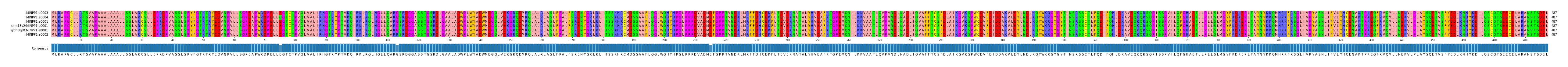 Multiple Alignments (by translate haplotype similarity)