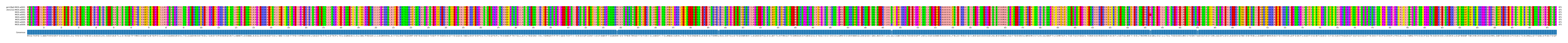 Multiple Alignments (by translate haplotype frequency)