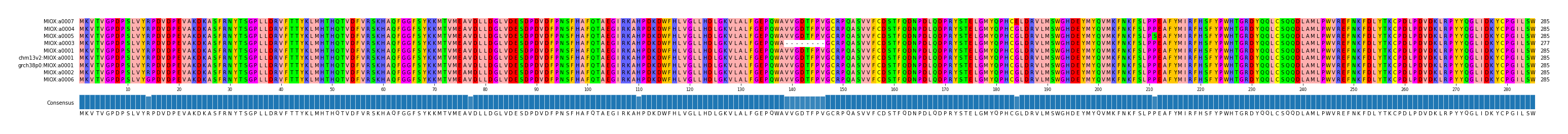 Multiple Alignments (by translate haplotype similarity)