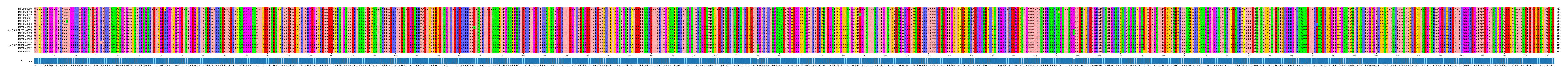Multiple Alignments (by translate haplotype similarity)