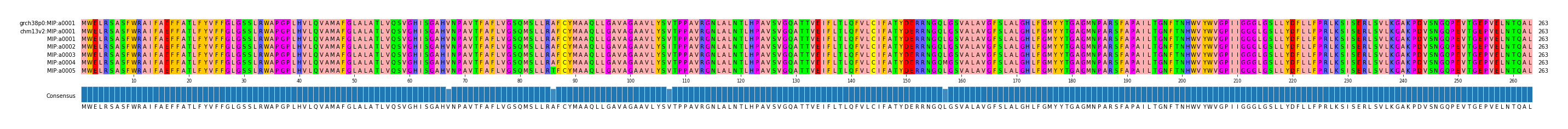 Multiple Alignments (by translate haplotype frequency)