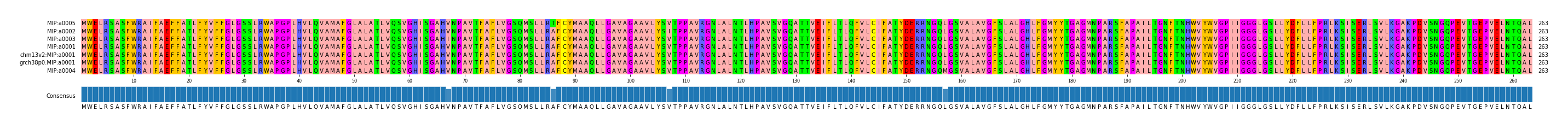 Multiple Alignments (by translate haplotype similarity)