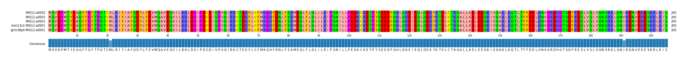 Multiple Alignments (by translate haplotype similarity)