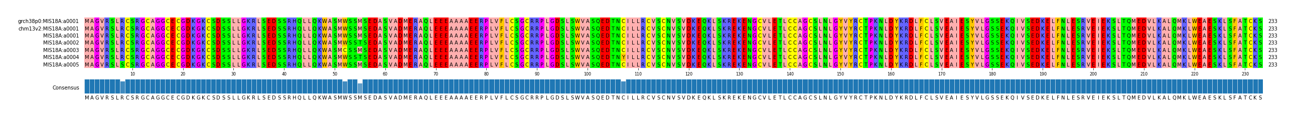 Multiple Alignments (by translate haplotype frequency)