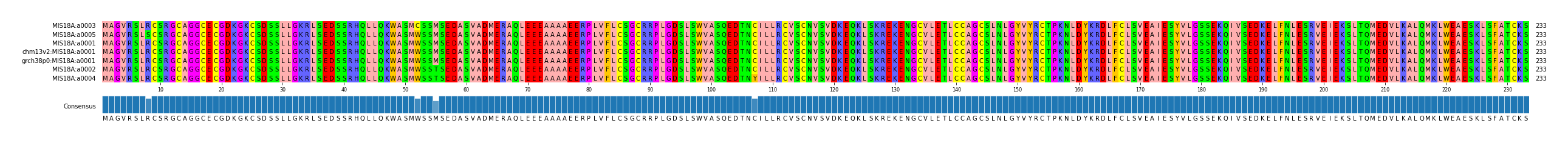 Multiple Alignments (by translate haplotype similarity)