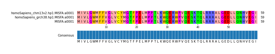 Multiple Alignments (by translate haplotype similarity)
