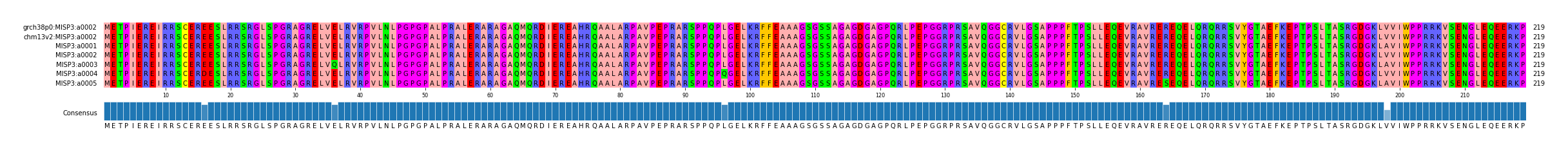 Multiple Alignments (by translate haplotype frequency)