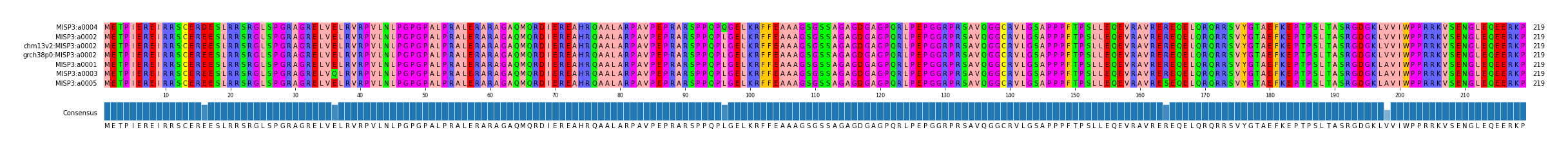 Multiple Alignments (by translate haplotype similarity)