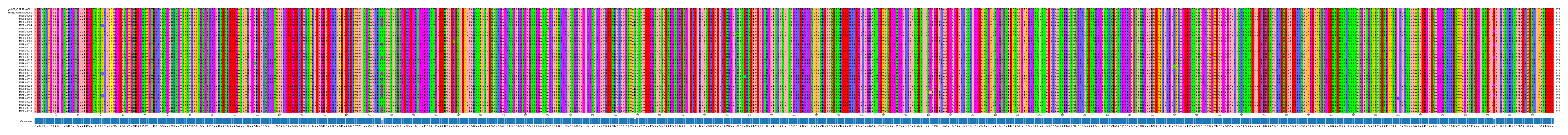 Multiple Alignments (by translate haplotype frequency)