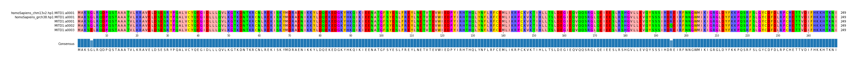 Multiple Alignments (by translate haplotype frequency)