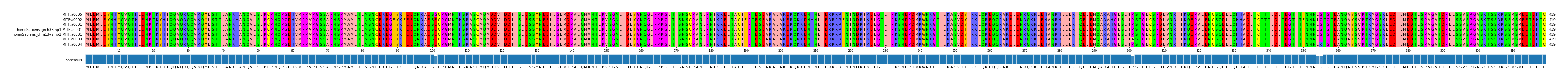 Multiple Alignments (by translate haplotype similarity)