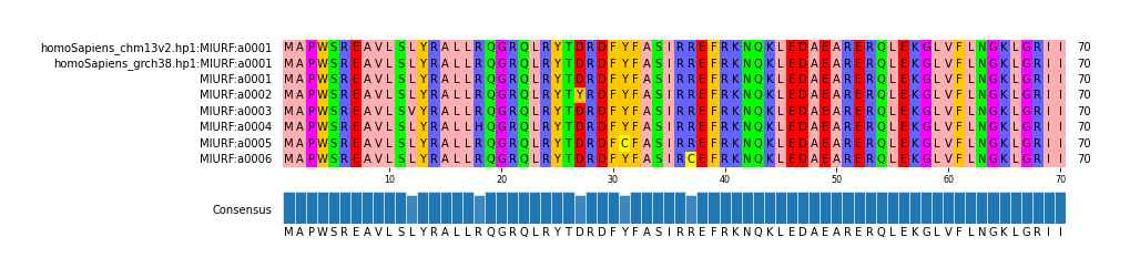 Multiple Alignments (by translate haplotype frequency)