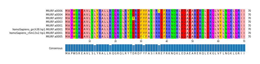 Multiple Alignments (by translate haplotype similarity)