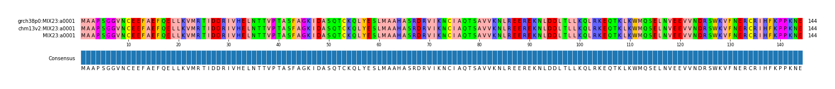 Multiple Alignments (by translate haplotype similarity)